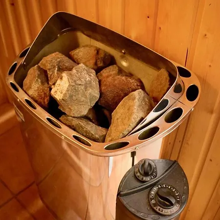 Lachmöwe Im Möwennest Greetsiel *