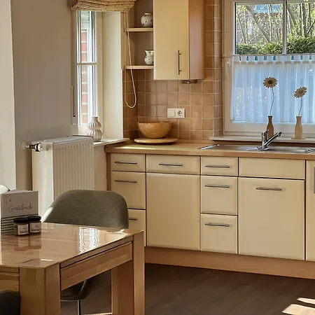 Lachmöwe Im Möwennest Greetsiel * Krummhörn