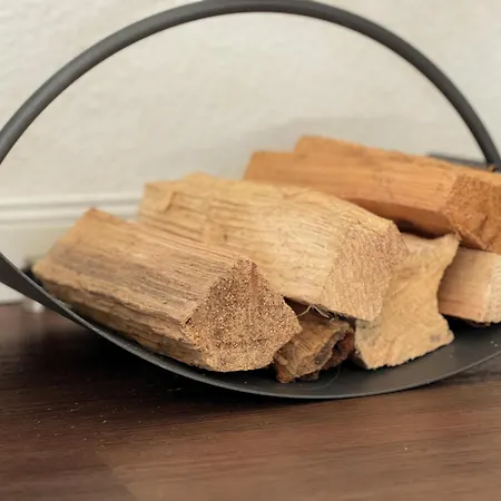 Lachmöwe Im Möwennest Greetsiel